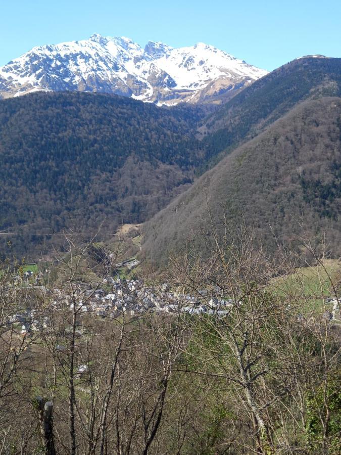 Appartement 2 A 4 Personnes Le Pyreneen A Arreau Carrefour Des Activites De Montagne Eksteriør bilde