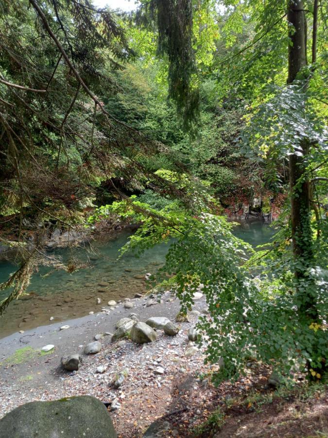 Appartement 2 A 4 Personnes Le Pyreneen A Arreau Carrefour Des Activites De Montagne Eksteriør bilde