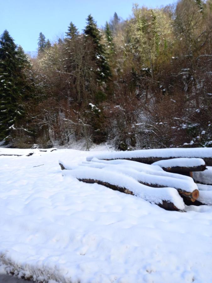 Appartement 2 A 4 Personnes Le Pyreneen A Arreau Carrefour Des Activites De Montagne Eksteriør bilde