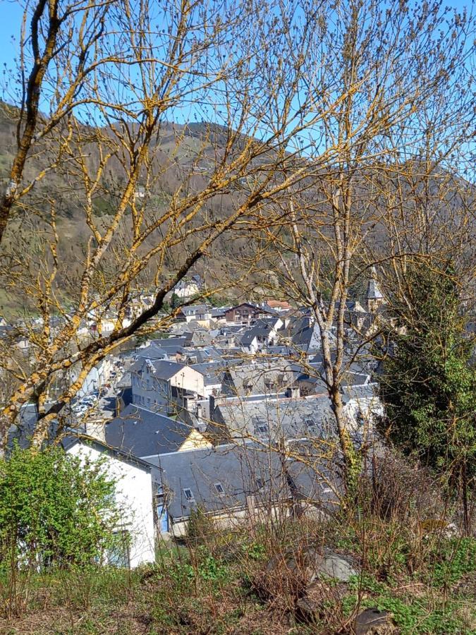 Appartement 2 A 4 Personnes Le Pyreneen A Arreau Carrefour Des Activites De Montagne Eksteriør bilde